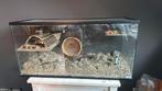 Queenies Terrarium 100x50x40, Dieren en Toebehoren, Knaagdieren en Konijnen | Hokken en Kooien, Kooi, Minder dan 75 cm, Zo goed als nieuw