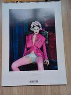 pirelli 2008 calendar kalender Patrick Demarchelier, Ophalen of Verzenden, Zo goed als nieuw, Auto's