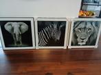 foto schilderijen zwart wit, 50 tot 75 cm, Nieuw, Ophalen of Verzenden, Schilderij