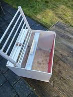 Mandtje voor bruidsduiven, Dieren en Toebehoren, Vogels | Duiven, Mannelijk, Postduif