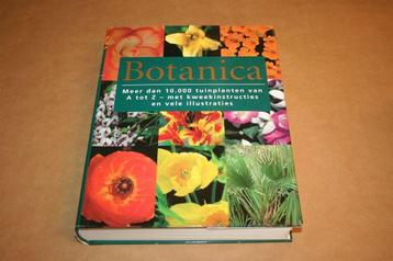 Dikke pil - Botanica, meer dan 10000 tuinplanten van A tot Z beschikbaar voor biedingen