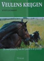 Joop Loomans: Veulens krijgen, Boeken, Ophalen of Verzenden, Zo goed als nieuw, Paarden of Pony's