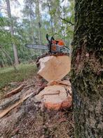 Boom verwijderen/stormschade/kappen/zagen/stobbefrezen, Tuin- of Vijveraanleg