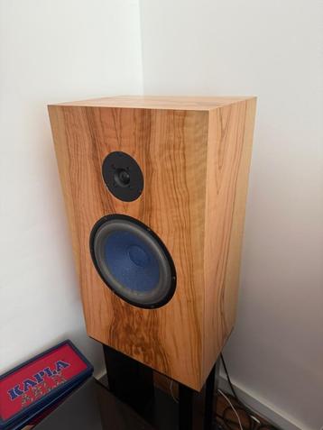 Audio Note AN-J/SPe Hemp Luidsprekers met stands beschikbaar voor biedingen