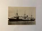 Stoomvaart Maatschappij Nederland - MS Tabinta., Verzamelen, Ophalen of Verzenden, 1940 tot 1960, Gelopen, Voertuig
