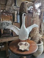 opgezette gans ``WOONWINKEL RUSTIEK``, Ophalen of Verzenden, Gebruikt, Vogel, Opgezet dier
