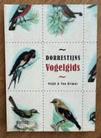 Dorrestijns Vogelgids, Vogels, Zo goed als nieuw, Ophalen, Hans Dorrestijn