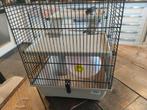 Hamster Kooi, Dieren en Toebehoren, Kooi, Gebruikt, Minder dan 75 cm, Hamster