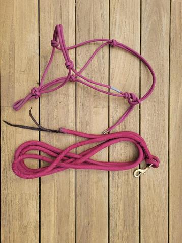 Touwhalster (STEVIG!) met leadrope burgundy COB beschikbaar voor biedingen