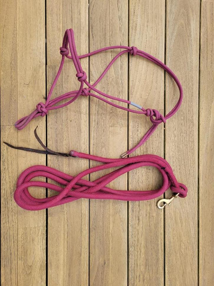 Training halsterset (STEVIG!) burgundy COB, Dieren en Toebehoren, Paarden en Pony's | Hoofdstellen en Tuigage, Zo goed als nieuw