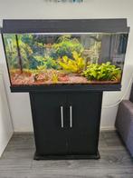 Juwel 125, Dieren en Toebehoren, Ophalen, Gevuld zoetwateraquarium