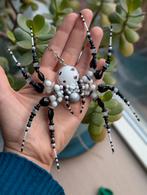 Halloween Hekserige Spin Hanger Handgemaakt raamdecoratie, Ophalen of Verzenden, Nieuw