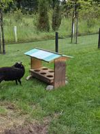 Voerbak voor schapen of geiten, Meerdere dieren, Schaap