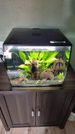 fluval flex 57l aquarium met veel toebehoren, Dieren en Toebehoren, Vissen | Aquaria en Toebehoren, Ophalen, Gebruikt, Leeg aquarium