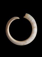 Zwijn slagtand taxidermie,tand varken,papua amulet., Verzamelen, Dierenverzamelingen, Ophalen of Verzenden, Gebruikt, Opgezet dier