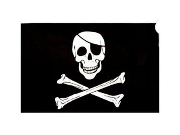 vlag met piraat, mancave, biker, rocker, man, vrouw, hobby beschikbaar voor biedingen