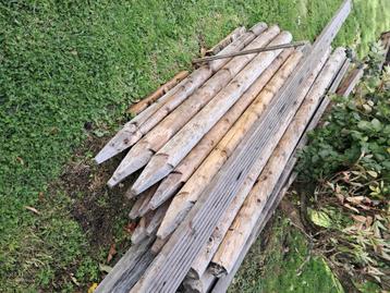 hekpalen/tuinafscheiding/ronde palen beschikbaar voor biedingen