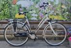 gazelle chamonix comfort C8 53 cm, 53 tot 56 cm, Versnellingen, Ophalen of Verzenden, Zo goed als nieuw