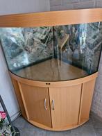 Mooi hoek aquarium,  Jewel 190, Ophalen, Zo goed als nieuw, Leeg aquarium