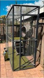 Kattenren met deur én tunnel, Ophalen