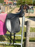 Norton zadel met uitwisselbare boom, Dieren en Toebehoren, Paarden en Pony's | Zadels, Ophalen, Zo goed als nieuw, Dressuur