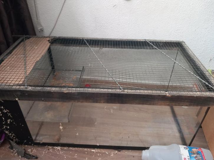 Terrarium, Dieren en Toebehoren, Knaagdieren en Konijnen | Hokken en Kooien, Gebruikt, Hok, Minder dan 60 cm, Ophalen of Verzenden