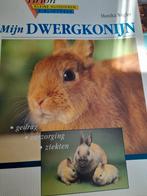 M. Wegler - Mijn dwergkonijn, Ophalen of Verzenden, Zo goed als nieuw, M. Wegler