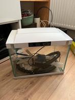 Superfish aquarium 20L met toebehoren, Dieren en Toebehoren, Vissen | Aquaria en Toebehoren, Ophalen of Verzenden, Zo goed als nieuw