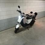E scooter Nui UQiPro, Ophalen, Niu, Elektrisch, Zo goed als nieuw