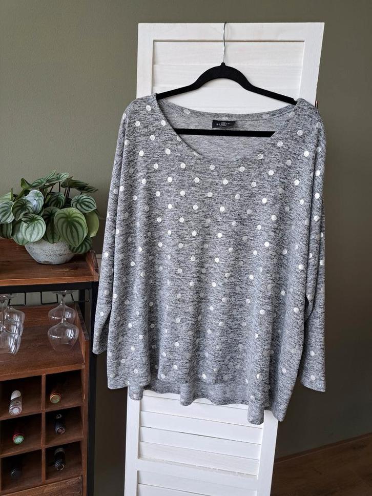 Gina Benotti Top – Grijs met zilveren details – Maat 48/50, Kleding | Dames, Tops, Gedragen, Maat 46/48 (XL) of groter, Grijs