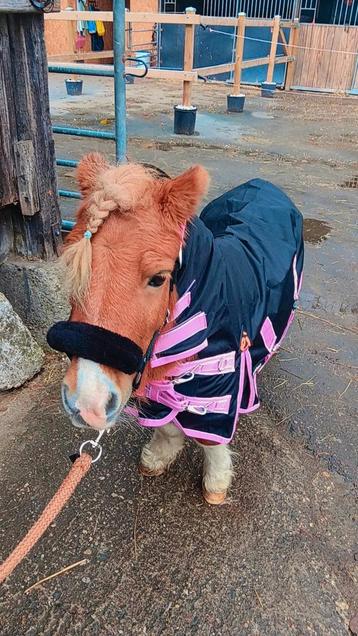 Regendeken 105 beschikbaar voor biedingen