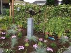 Bronzen Tuinbeeld | Jumping Frog XL bronzenbeelden-winkel, Verzenden, Nieuw, Overige materialen