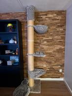 mc tower/krabpaal/plafond, Ophalen, Zo goed als nieuw, Krabpaal