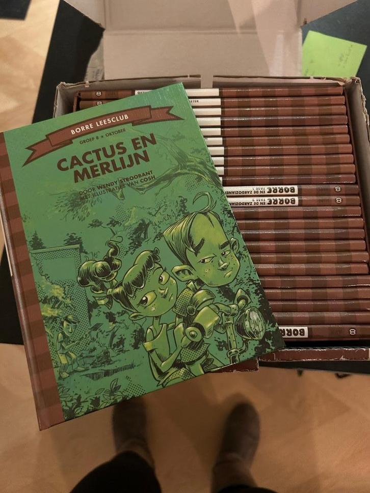 Complete set Borre boekjes groep 8 (24 stuks), Boeken, Kinderboeken | Jeugd | 10 tot 12 jaar, Zo goed als nieuw, Fictie, Ophalen of Verzenden