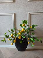 Zwarte vaas met citroen takken, Ophalen, Nieuw, Binnen