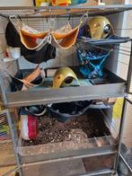 Rattenkooi / knaagdierenkooi met graafbak en alle toebehoren, Ophalen, 110 cm of meer, Zo goed als nieuw, 90 cm of meer