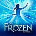 Los 1e rangs ticket Frozen the musical AFAS Scheveningen, Tickets en Kaartjes, Theater | Musical, Juni, Eén persoon