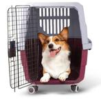 Honden transport bak, Dieren en Toebehoren, Nieuw, Ophalen of Verzenden