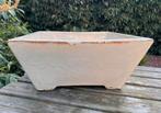 Bonsai schaal XL crème geglazuurd aardewerk 45,5x45x19, Tuin en Terras, Ophalen, 40 cm of meer, Vierkant, Zo goed als nieuw