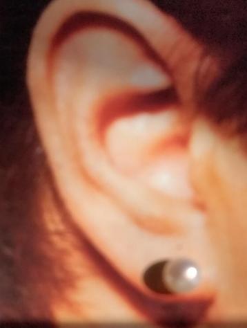 Parel Oorbellen Witte Akoya Parels, 8mm, 925 Zilver  beschikbaar voor biedingen