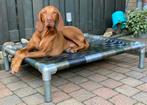 Hondenmand✅ hondenstretcher hondenkussen bull bench, Ophalen, Nieuw, Overige