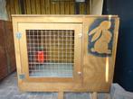 groot konijnenhok, Ophalen, 90 cm of meer, Konijn, Hok
