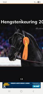 Gevraagd Hengstenkeuring, Eén persoon