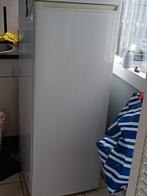 Koelkast - Compact en Functioneel, 120 tot 140 cm, Ophalen of Verzenden, Minder dan 75 liter, Energieklasse A of zuiniger