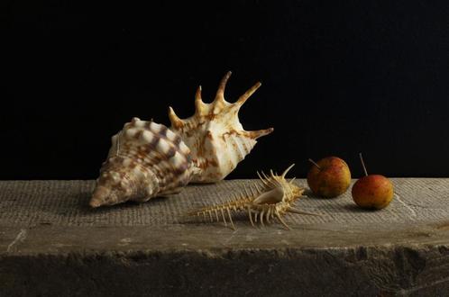 Modern klassiek stilleven 3, Antiek en Kunst, Kunst | Schilderijen | Modern, Ophalen