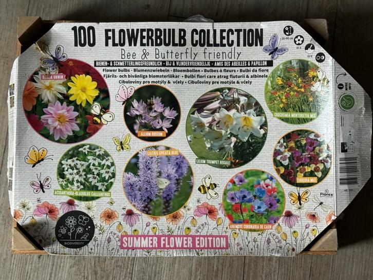 Bloembollen en zaden, Tuin en Terras, Bloembollen en Zaden, Zaad, Voorjaar, Volle zon, Ophalen of Verzenden