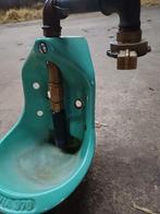 Drinkbak schapen en geiten, Dieren en Toebehoren