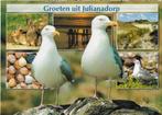 Q6 ongelopen ansichtkaart groeten uit julianadorp Q6, Ophalen of Verzenden, Ongelopen