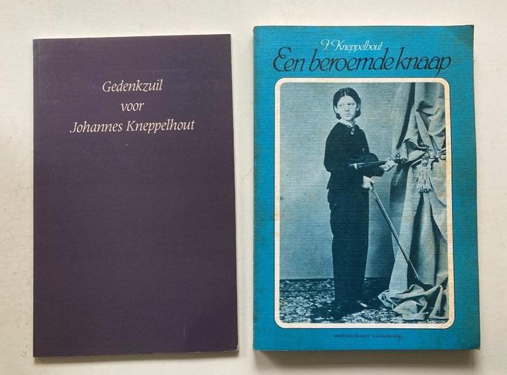 Twee boeken over Johannes Kneppelhout, Boeken, Biografieën, Gelezen, Kunst en Cultuur, Ophalen of Verzenden