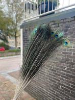 Pauwenveren - 35 stuks - 120cm - Decoratie, Ophalen of Verzenden, Nieuw